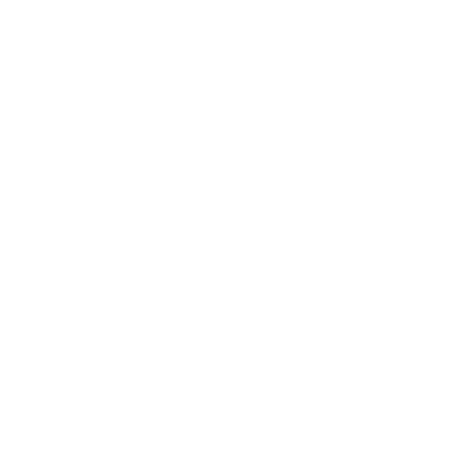 dj zelienka logo white transparent